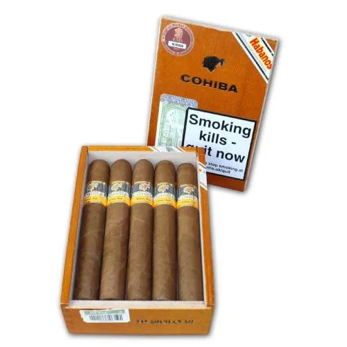 Cohiba Siglo VI (Box of 10).